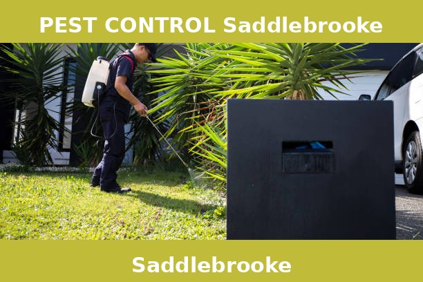 PEST CONTROL Saddlebrooke